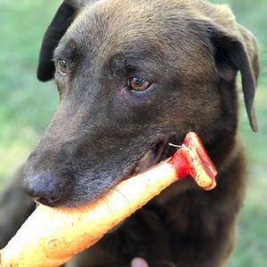 Meet your Posher, Nick